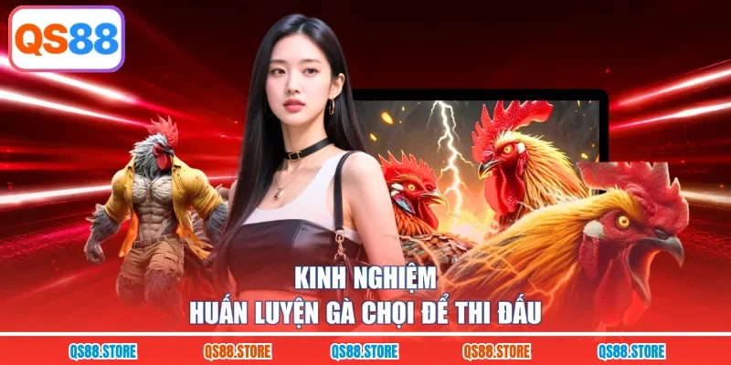 Kinh nghiệm huấn luyện gà chọi để thi đấu 